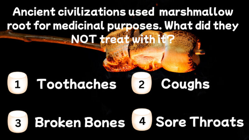 Marshmallow Madness